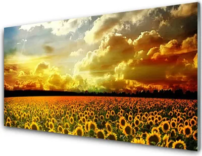 Produktbild von Acrylglasbilder 100x50 Wandbild Druck Wiese Sonnenblumen Pflanzen