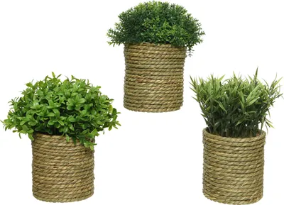 Produktbild von Kunstpflanze im geflochtenen Topf 22 cm, 1 Stück sortiert