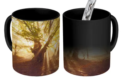 Obrázok produktu pre MuchoWow® Magický pohár Strom - les - slnko 350 ml Pohár na zmenu farby Darček Nápad na darček - Foto hrnček