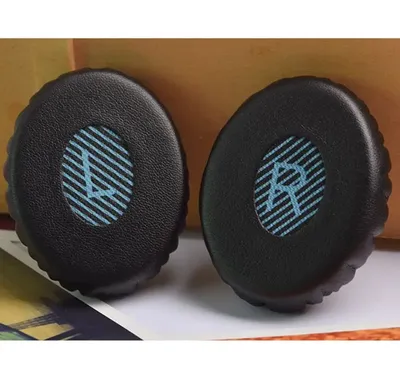 Two black ear pads with blue striped accents and 'L' and 'R' markings.