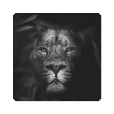 Produktbild von MuchoWow® Mauspad Mousepad Tiere - Löwe - Wilde Tiere - Schwarz - Weiß 20x20 cm - Mousepads - Maus Mat - Pad - Mausunterlage - Desk Mat - Bureauartikeln