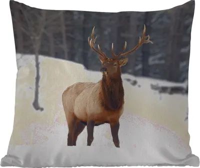 Produktbild von MuchoWow® Outdoor Kissen - Rotwild - Schnee - Winter - 40x40 cm - Wetterfest - Lounge Kissen - Kopfkissen - Interieur - Polster mit Bild