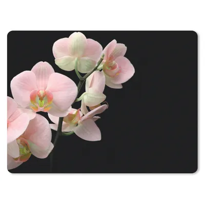 Produktbild von MuchoWow® Mauspad Mousepad Orchidee - Blumen - Rosa - Stilleben - Flora 40x30 cm - Mousepads - Maus Mat - Pad - Mausunterlage - Anti Rutsch
