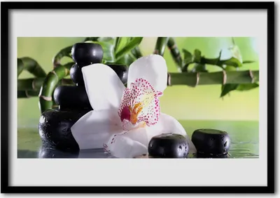 Produktbild von Bild 100x70 MDF-Rahmen Wandkunst Bamboo Orchid Steine
