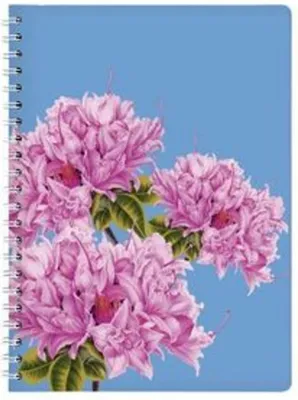 Produktbild von Ringbuch A4 Azalee mit 100 Blatt 80 g/m² Papier