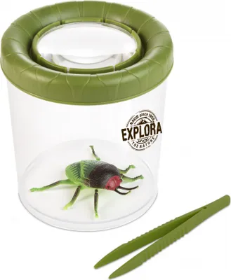 Imagen del producto de Caja grande para insectos Explora, Navir
