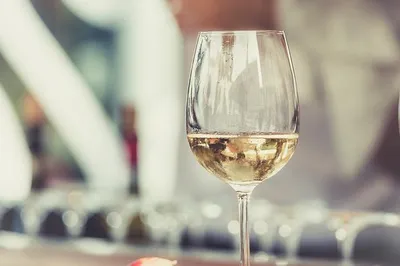Obrázok produktu pre Frühroter Veltliner 2019, Maglock-Nagel, 0,75l
