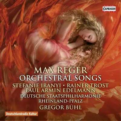 Obrázek produktu pro Max Reger (1873-1916): (CD / Název: H-Z)