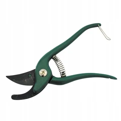 Image de Sécateur en acier trempé 20 cm