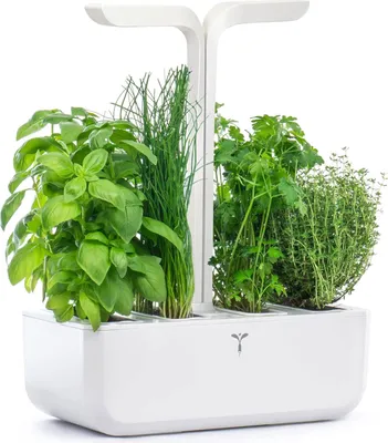 Obrázek produktu pro Véritable CLASSIC Soběstačná vnitřní zahrada