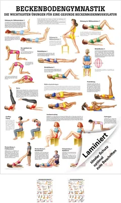 Produktbild von Beckenbodengymnastik Lehrtafel Anatomie 100x70 cm medizinische Lehrmittel