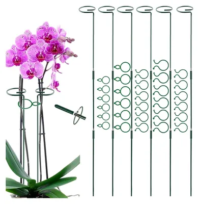 Produktbild von Pflanzenstütze 6 Stück 90 cm (30+30+30 zusammenfügen)