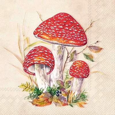 Produktbild von Serviette "Rote Fliegenpilze", 20 Stück
