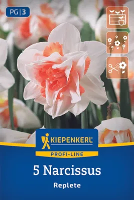 Produktbild von Kiepenkerl Profi-Line Gefüllte Narzisse Replete Narcissus pseudonarcissus 5 Zwiebeln