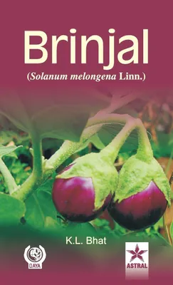 Produktbild von Brinjal