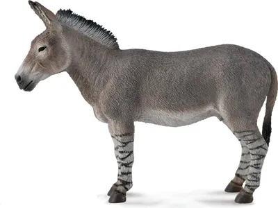 Immagine prodotto di Asino selvatico africano L - Statuetta animale