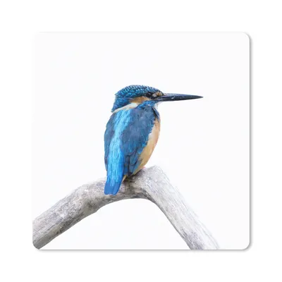 Produktbild von MuchoWow® Mauspad Mousepad Eisvogel - Zweig - Schnabel 30x30 cm - Mousepads - Maus Mat - Pad - Mausunterlage - Gaming