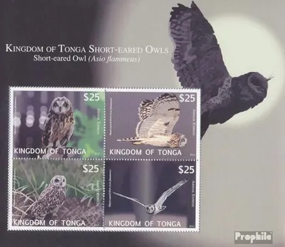Produktbild von Briefmarken Tonga 2012 Mi Block57 (kompl.Ausg.) postfrisch Sumpfohreule
