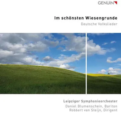 Obrázek produktu pro - Daniel Blumenschein - Im schönsten Wiesengrunde - - (CD / D)