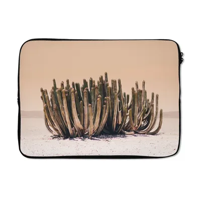 Produktbild von MuchoWow® Laptop Hülle 14 ZollKaktus - Pflanze - Natur - Grün Laptoptasche - Laptoptasche - Stoßsicher - Schutzhaube