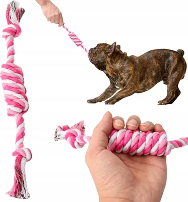 Produktbild von Petstory Quietschspielzeug Reifen für Hunde & Katzen