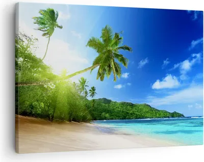 Produktbild von Bild auf Leinwand - Leinwandbild - Baum Dschungel Welle Landschaft - 70x50cm - Wand Bild - Wanddeko - Leinwanddruck - Bilder - Kunstdruck - Wanddekoration - Leinwand bilder - Wandkunst - AA70x50-3169