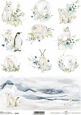 Immagine prodotto di ITD carta di riso per decoupage, animali invernali, volpe, gufo, orso, pinguino R1636