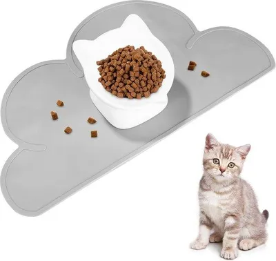 Produktbild von Famanu Katzennapf aus Edelstahl, kippbar, Fressnapf für Katzen