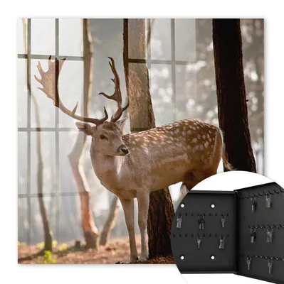 Produktbild von Metall Schlüsselkasten 30 x 30 cm - schwarzer Schlüsselschrank zur Wandmontage - wandhängende Schlüsselbox mit Tür - rechts öffnend - Schlüsselaufbewahrung für Flur - Büro - Arbeitszimmer - Werkstatt - Garage - Hirsche im Wald