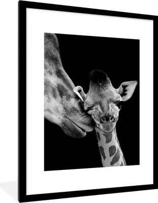 Produktbild von MuchoWow® Gerahmtes Poster Tiere - Schwarz - Weiß - Giraffe - Porträt 60x80 cm - Poster mit Schwarzem Bilderrahmen Wandposter Rahmen Foto Bilder - Wohnzimmer - Dekorationen - Prämie