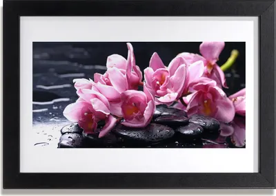 Produktbild von Bild 30x20 MDF-Rahmen Wandkunst Blume Orchidee Pflanze