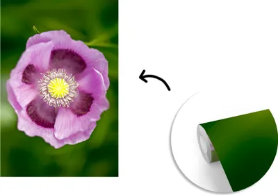 Produktbild von MuchoWow® Fototapete für Wohnzimmer oder Schlafzimmer Wandtapete Vinyl Motivtapete Nahaufnahme der rosa Blätter des Lulavs - 150x220 cm - Wandbilder