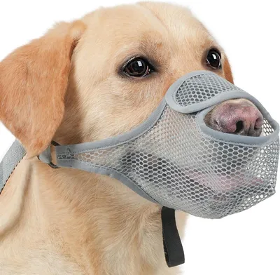 Produktbild von Hundenmaulkorb - Nylon-Mesh-Maulkorb - Atmungsaktiver und bequemer Gebissschutz - Mit verstellbarem Riemen und Öffnung an der Vorderseite - Praktisch zum Trinken und Hecheln - Geeignet für große, mittelgroße und kleine Hunde (S)