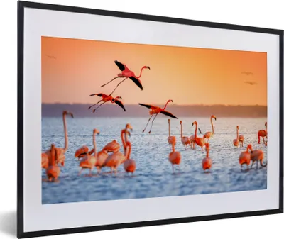 Produktbild von MuchoWow® Gerahmtes Poster Vogel - Flamingo - Wasser - Sonnenuntergang - Rosa 60x40 cm - Poster mit Schwarzem Bilderrahmen Wandposter Rahmen Foto Bilder - Schlafzimmer - Plakat in Rahmen - Drucken