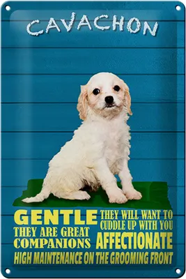 Produktbild von Blechschild Spruch 20x30cm Cavachon Hund gentle affectionat