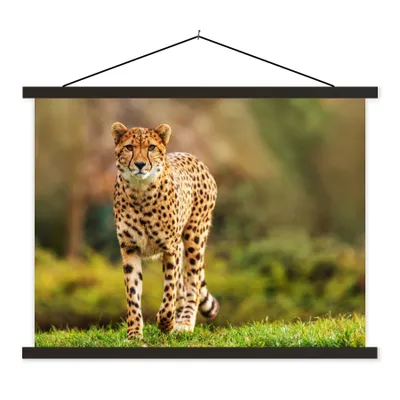 Produktbild von MuchoWow® Textilposter Wildtiere - Gras - Leopard - Natur 120x90 cm mit schwarzem Rahmen - Aufhänger für Poster