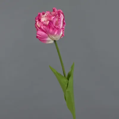 Produktbild von artplants.de Kunst Papageientulpe LIOMARA, rosa-pink, 65cm - Künstliche Tulpe