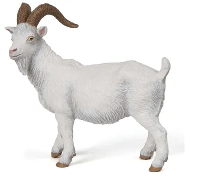 Zdjęcie produktu dla Papo 51144, 3 lat(a), Farmyard friends, Biały, PCW