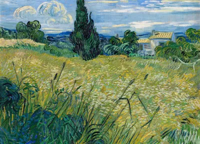 Image de Affiche 18 x 13 cm  Champ de blé vert avec cyprès, Van Gogh Vintage