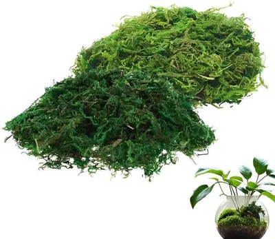 Image de Gazon artificiel 200 g vert pour la décoration