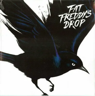 Obrázek produktu pro Fat Freddy's Drop - Blackbird (2 LP)