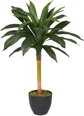 Produktbild von hjh OFFICE Kunstpflanze DRACAENA I Künstliche Pflanze Drachenbaum Höhe 85.0 cm Deko