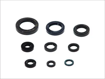 Obrázek produktu pro Sada těsnění motoru Athena P400210400126