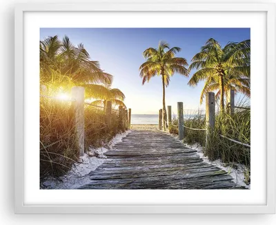 Produktbild von Gerahmtes Poster - Weißer Rahmen - Strand Palmen Fußgängerbrücke - 50x40 cm - Wand Bild - Wanddeko - Wandbilder - Wandposter - Bilderrahmen - Bilder - Kunstdruck - Wandbild - P2WAA50x40-4171