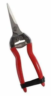 Immagine prodotto di forbici cogliuva 16 falci   16 cm