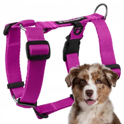 Produktbild von Dog's Profit Guard-Geschirr für Welpen, Rosa, Größe S