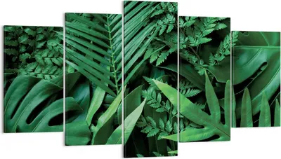 Produktbild von Bild auf Leinwand - Leinwandbild - 5 Teile - Exotisch Blätter Monstera - 160x85cm - Wand Bild - Wanddeko - Wandbilder - Leinwanddruck - Bilder - Wanddekoration - Leinwand bilder - EA160x85-4746