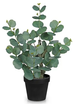 Obrázok produktu pre Umelo vyzerajúci eukalyptus v kvetináči, výška 46 cm, dekoratívna zelená umelá rastlina, vhodná do obývačky alebo kancelárie