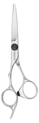 Productafbeelding van KYONE 710 Schaar 5,5" Silver