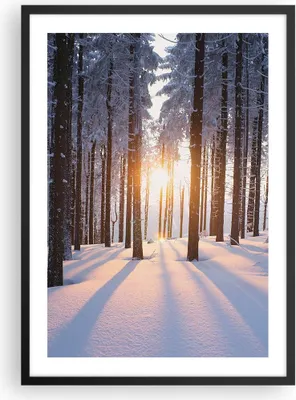 Produktbild von Gerahmtes Poster - Schwarzer Rahmen - Wald Winter Schnee - 50x70 cm - Wand Bild - Wanddeko - Wandbilder - Kunstposter - Wandposter - Bilderrahmen - Bilder - Kunstdruck - Wandbild - P2BPA50x70-3629